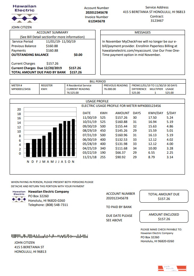 USA Hawaiian Electric utility bill template in Word and PDF format (.doc and .pdf)